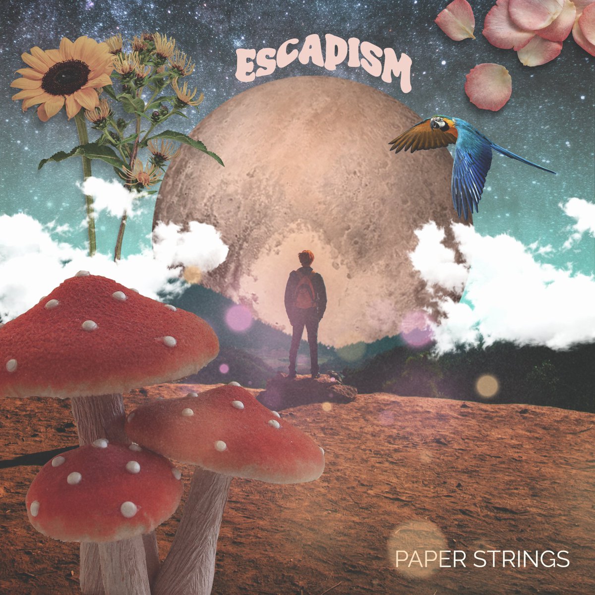 Luke Burns tweet media