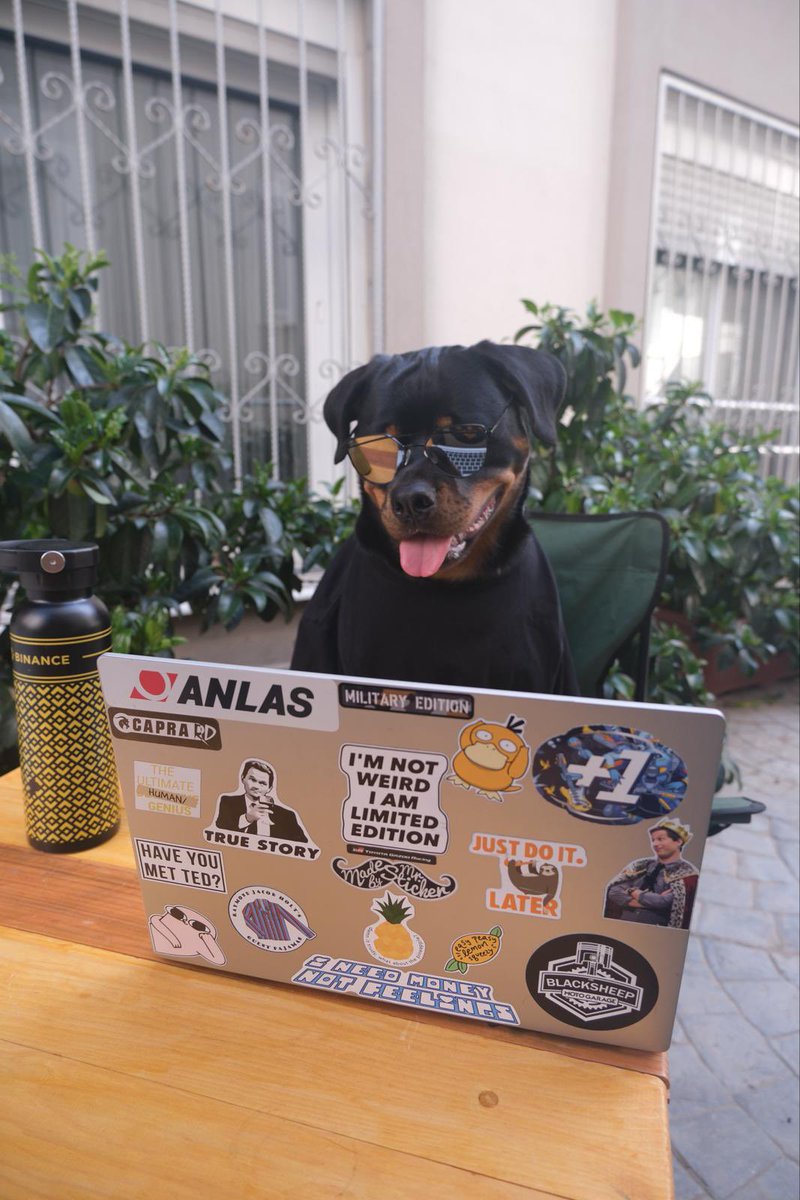 me when I saw my portfolio this weekend

#BinanceDog