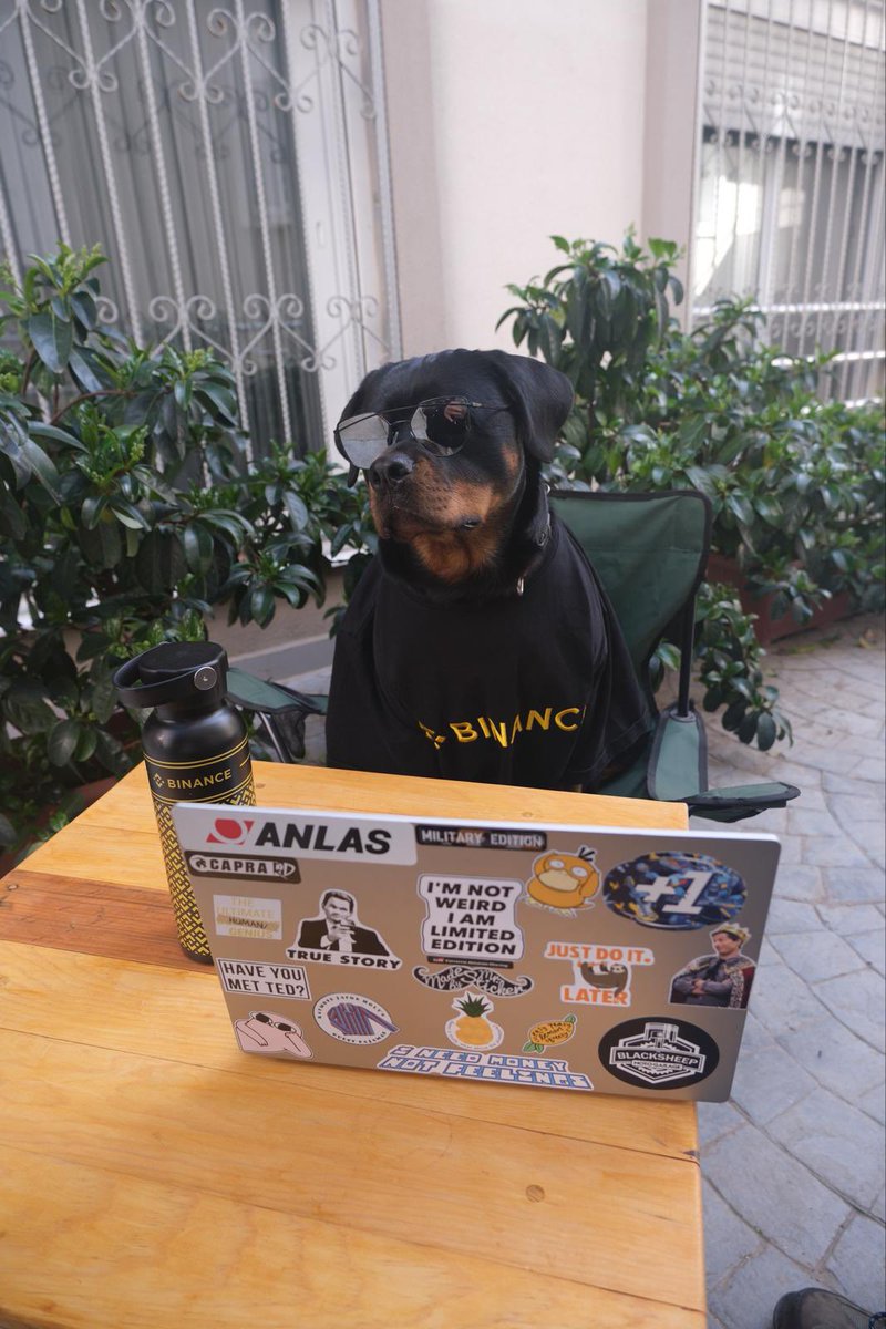 dr_stiglitz's tweet photo. me when I saw my portfolio this weekend

#BinanceDog https://t.co/Z4rfgRRX1V