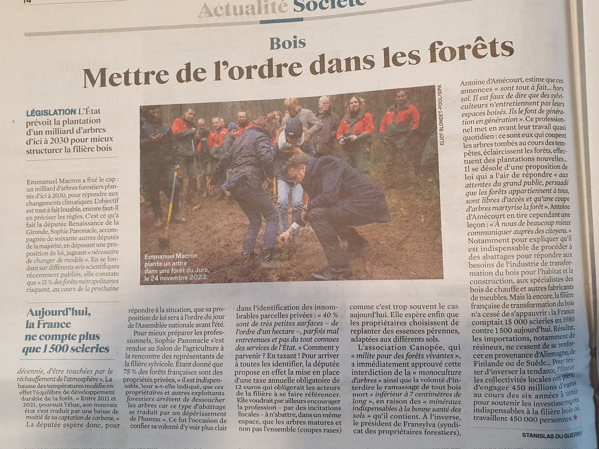 's tweet image. @LettreEco Venez donc voir mon cher Stanilas comme on coupe bien les #arbres au #HarasDuPin en #Normandie. Une véritable hémorragie 😭