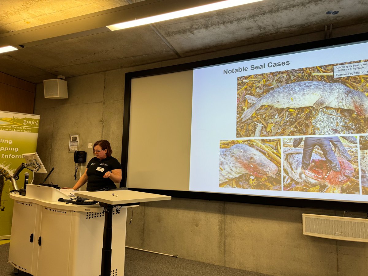 strandings_man's tweet photo. Great talks by our friends in the @CwallWildlife MSN, James Barnett and the CMPT team, @BenTuttLeppard our fantastic PhD students @Helen__Chadwick @emmainthewild @KateChadwick20 and many others... Great day all round 🙂👏 https://t.co/bYgyFo8Ieh