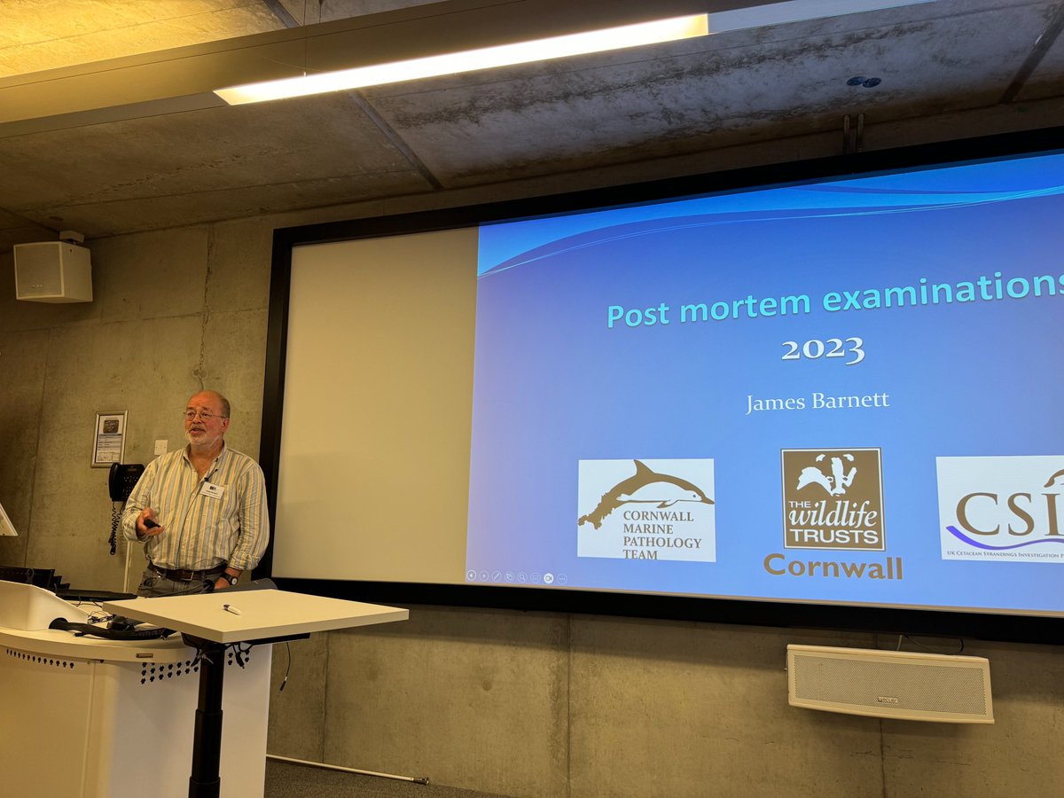 strandings_man's tweet photo. Great talks by our friends in the @CwallWildlife MSN, James Barnett and the CMPT team, @BenTuttLeppard our fantastic PhD students @Helen__Chadwick @emmainthewild @KateChadwick20 and many others... Great day all round 🙂👏 https://t.co/bYgyFo8Ieh