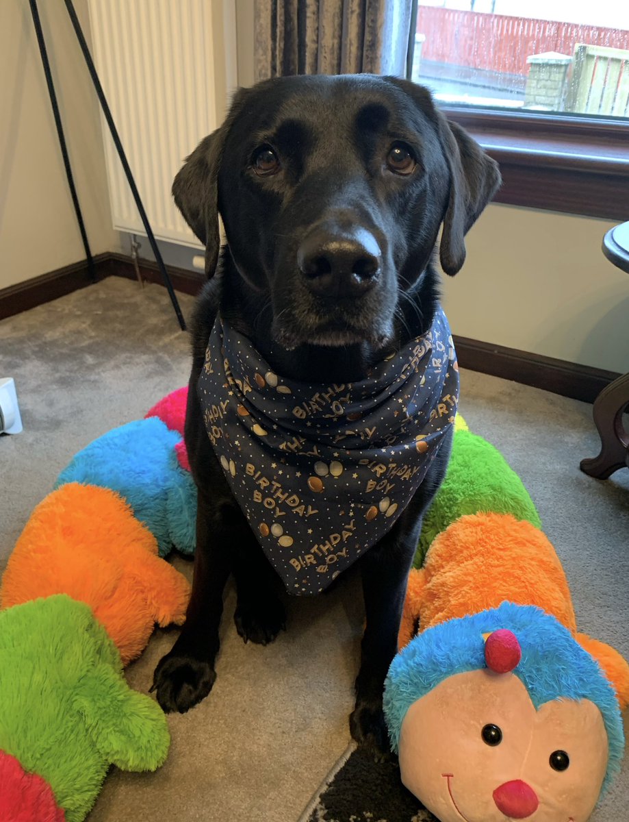 kirsten93_'s tweet image. Happy birthday to my Rudy today… the big 7!

The roguest of all rogues but the best lad into the bargain 🥳💙