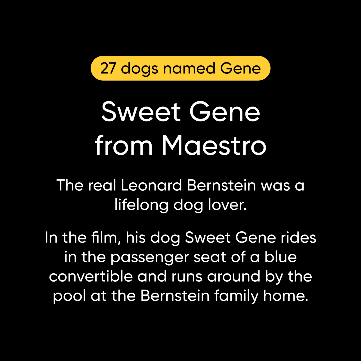 Lights, camera, woof! 🎬🐶 As we celebrate the best of cinema from the past year, let's not forget the scene-stealers with four legs and wagging tails. 🍿🐾 What movie melted your heart the most last year? Share your top pick with us below! 🎥❤️