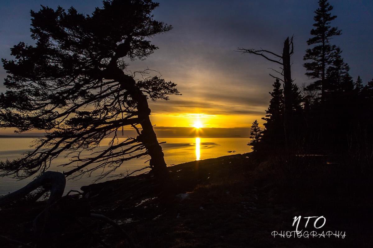Newtrailss's tweet photo. The journey to Cape Split today was VERY muddy but as always, the spires awaited us. When we got back, the setting Sun awaited us as well. #ShareYourWeather #keepyourstickinthewoods #capesplit https://t.co/PxOkynq6FR