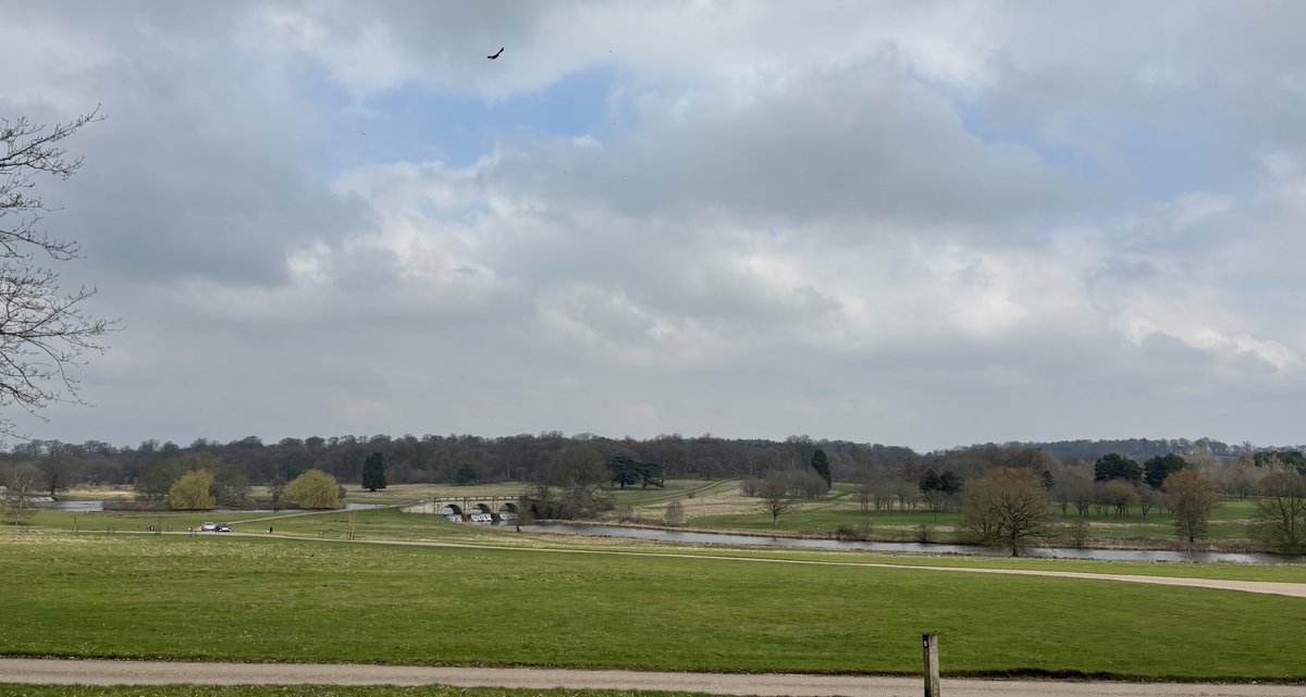 Y__Tesla's tweet image. Looking for signs of Spring - as always, it is nice to go for a @Tesla drive through the 🌳 countryside.

#tesla #teslamodely #tesladesign  #teslaowners #teslaroadtrip