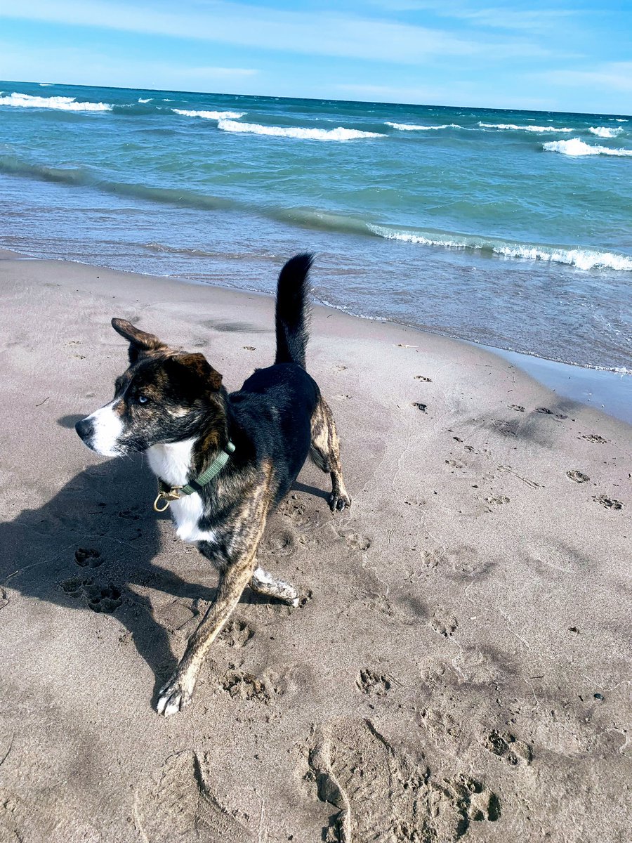 Kim Babcock (@kimbabcock) on Twitter photo 