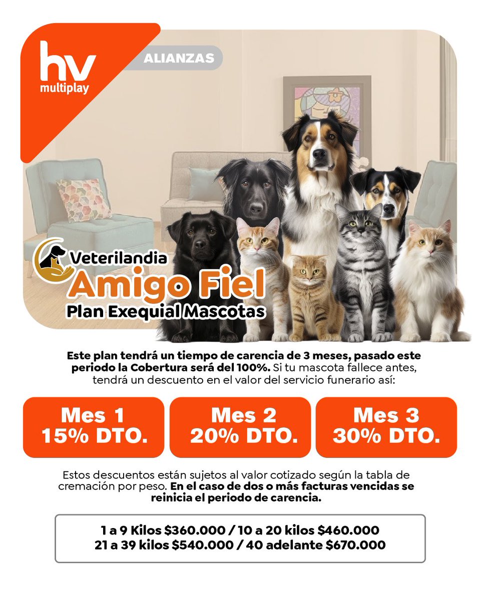 En <a href="/hvmultiplay/">HV Multiplay</a> , entendemos que tu compañero peludo es parte esencial de tu familia. 
Con veterilandia, te presentamos planes asequibles diseñados para asegurar el bienestar óptimo de tu mascota, incluso en situaciones desafiantes. Siempre comprometidos con su felicidad y salud.