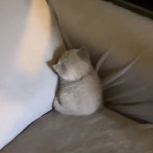 2 cm