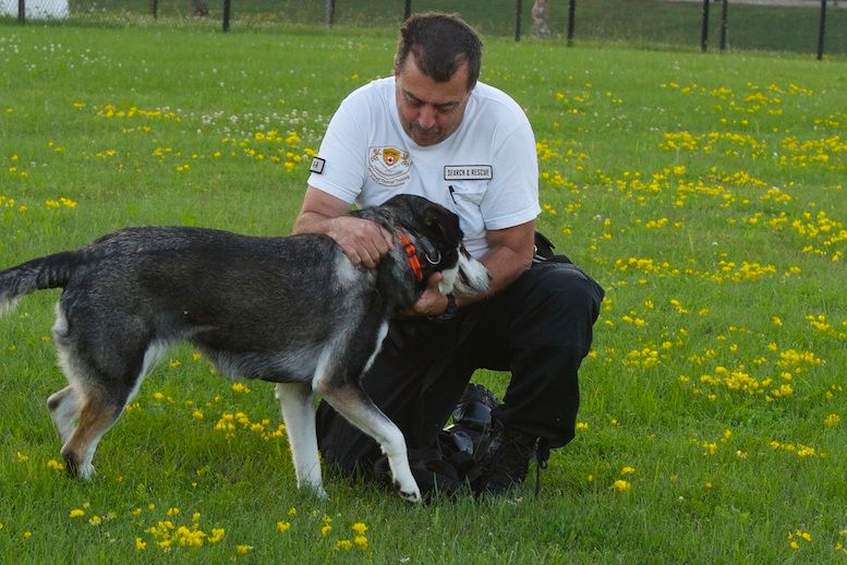 ATT_SAR's tweet photo. It is time for Sheba to Retire.
Having served communities throughout North America, she is 11 today and will be teaching new dogs how to do what she does.
Her service to families has been unconditional and appreciated, enjoy it, Sheba, you have earned it https://t.co/fYyJtw6hig