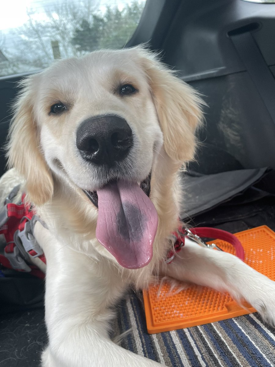 Simon Cooper tweet media