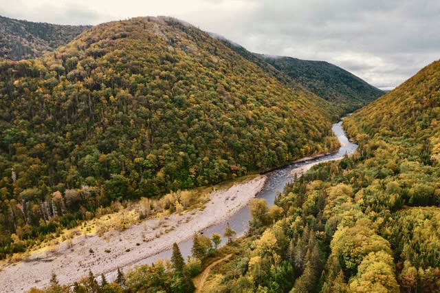 It's more casting than catching when fishing for salmon on Cape Breton Island. Great piece on the joys of the Margaree River. 

In Pursuit of Nova Scotia’s Elusive Salmon gothamcanoe.com/fishing-aplent…