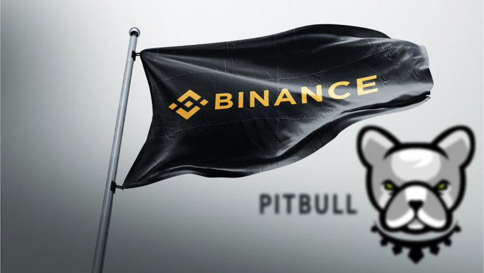 Pitbull token (PIT) Passive Income Technology. tweet media