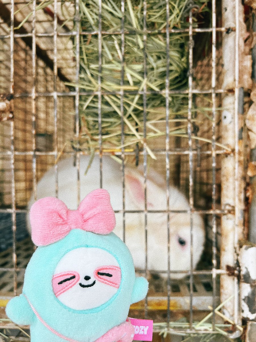 LiAdorable721's tweet photo. #ITZY #있지 #리아 #Lia #랴 #러블리아
#최리아 

재밌당!!🩵

#최리아에게
#D167 https://t.co/N1Hz4aMfEl