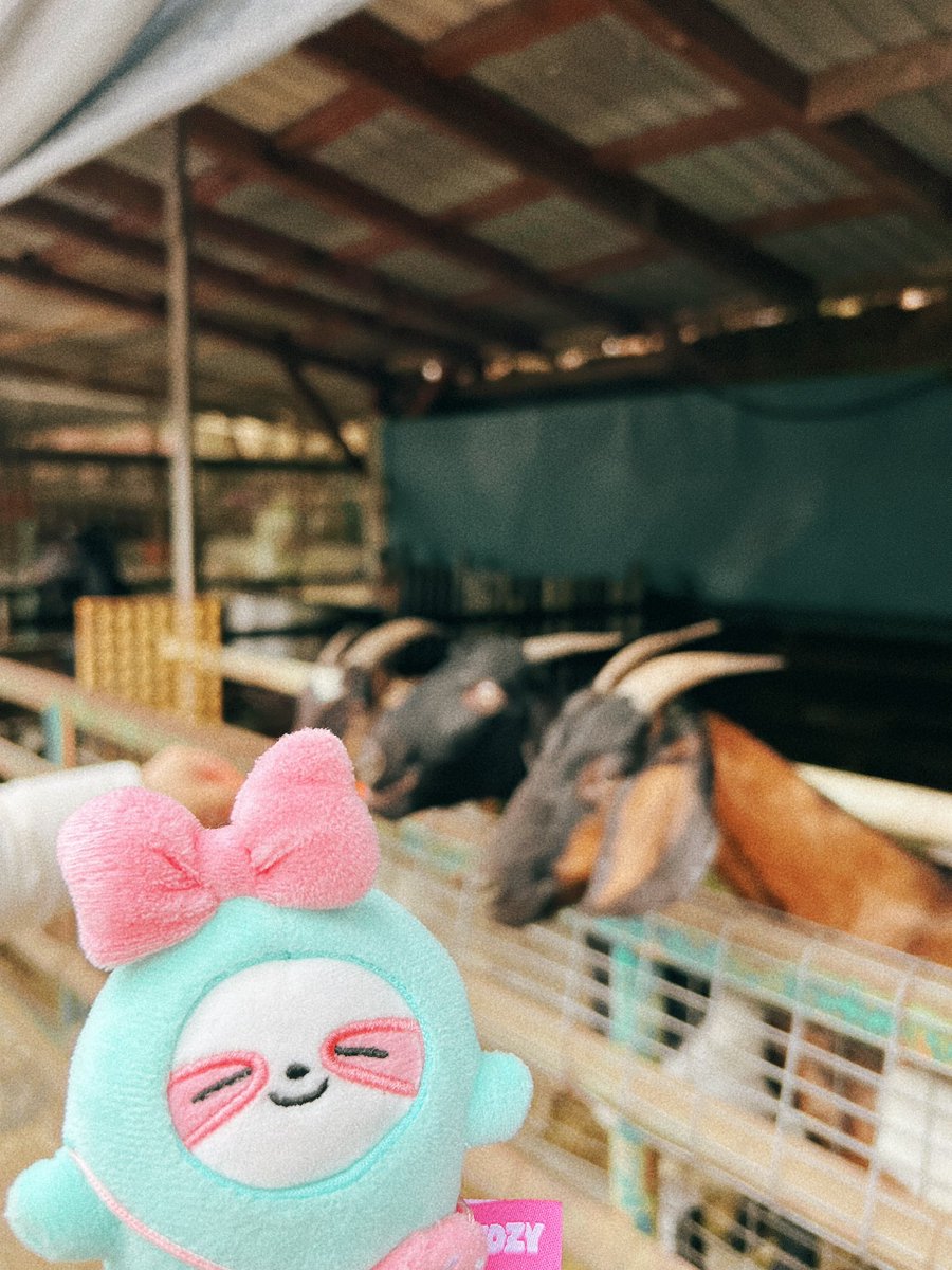 LiAdorable721's tweet photo. #ITZY #있지 #리아 #Lia #랴 #러블리아
#최리아 

재밌당!!🩵

#최리아에게
#D167 https://t.co/N1Hz4aMfEl