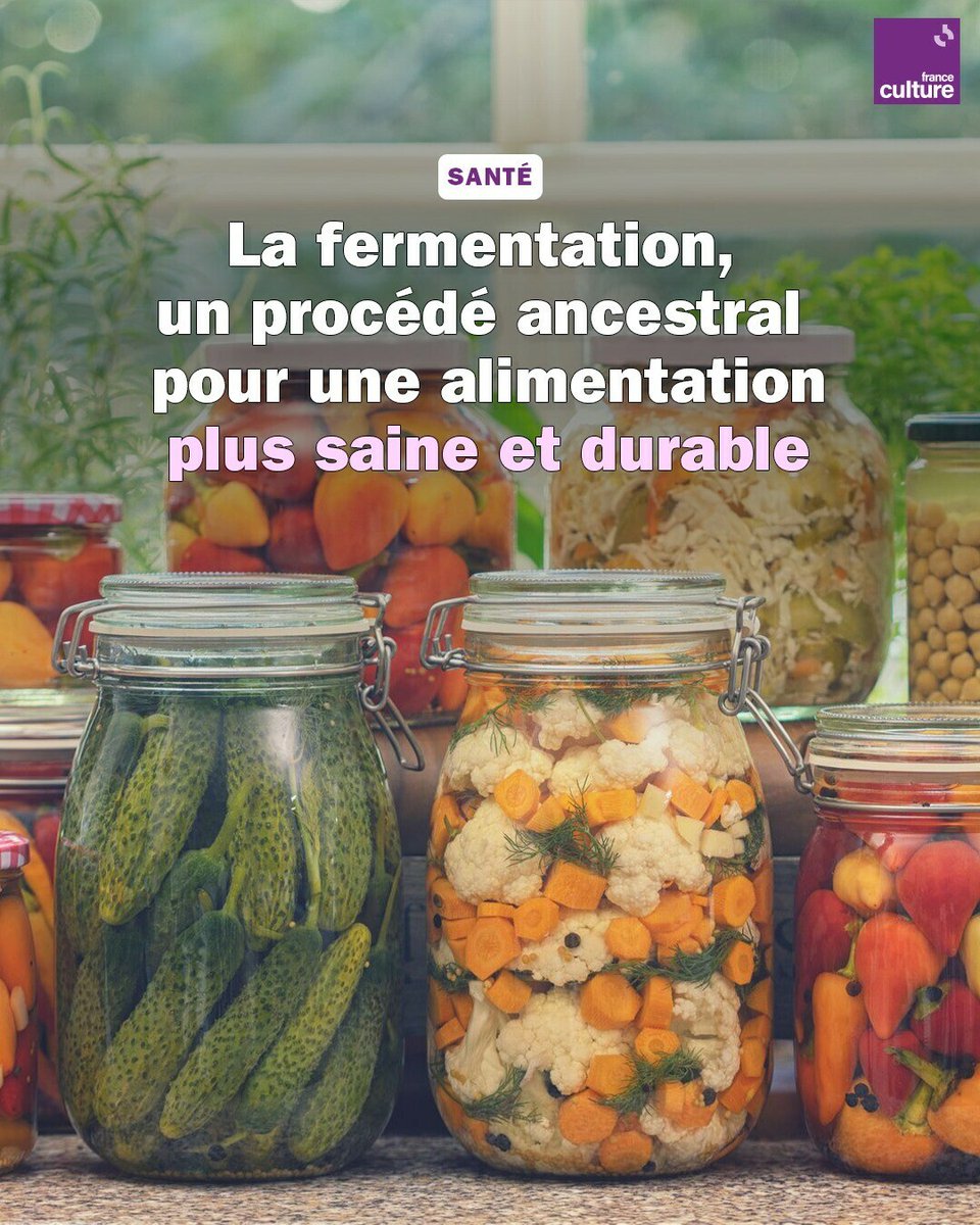 Et si l'alimentation de demain reposait sur une technique de conservation millénaire ?
La fermentation
radiofrance.fr/franceculture/…