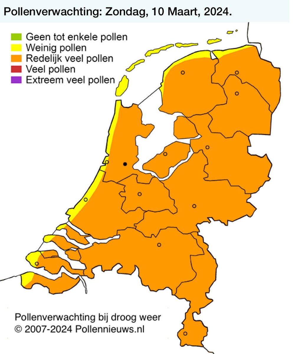 Pollendruk neemt toe door bloeiende struiken en bomen. Maurice <a href="/FloraNederland/">Flora van Nederland</a> heeft een nieuw pollenjournaal geschreven. #hooikoorts, #pollen. pollennieuws.nl