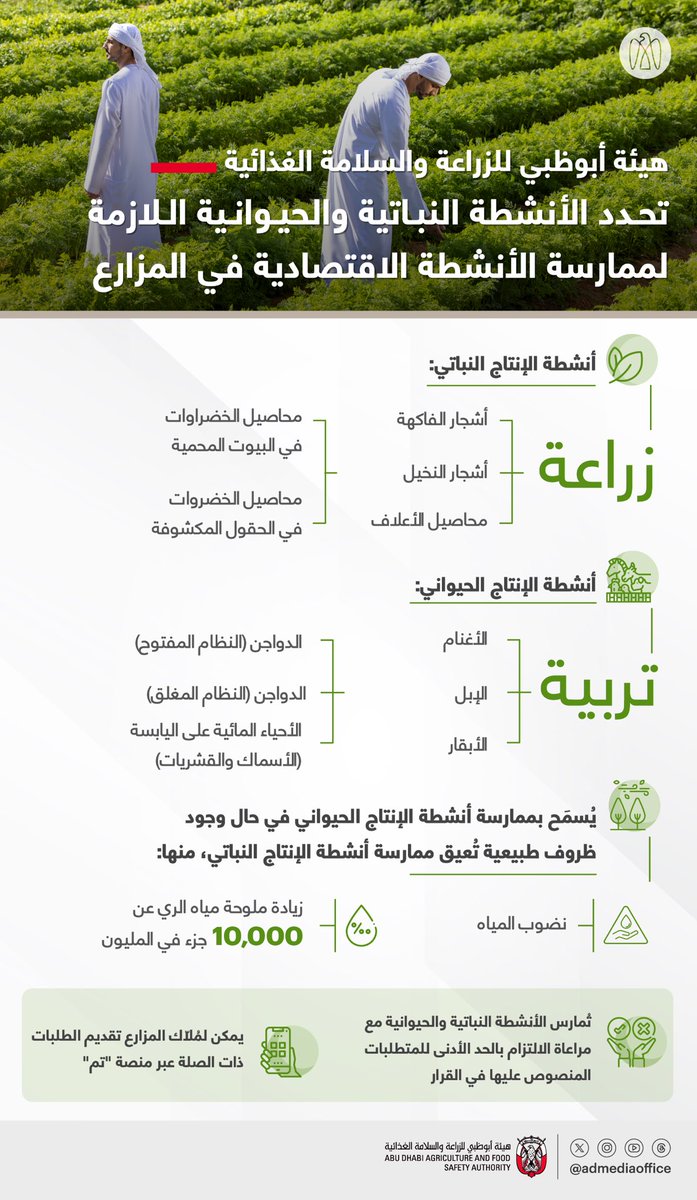 الصورة