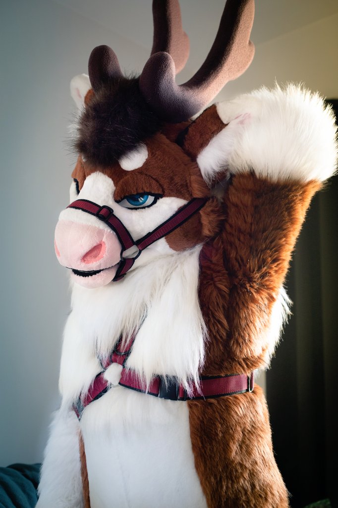 You're next 😈

✂️ <a href="/SGSuits/">Snow Gryphon Suits</a>