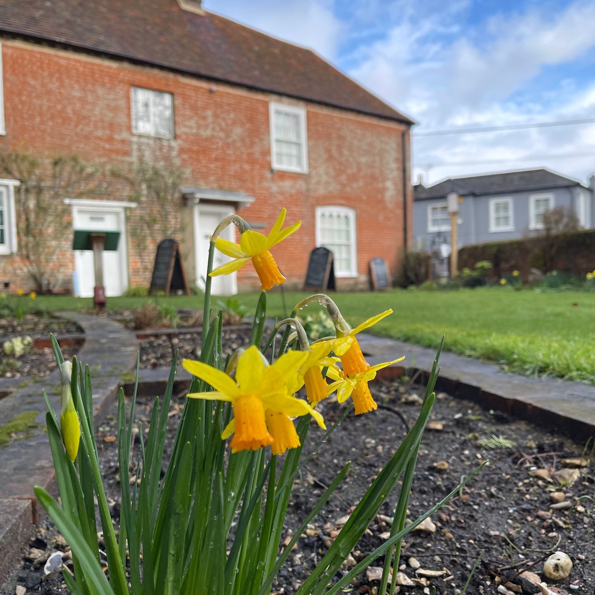 🌷 Happy Mother's Day from Jane Austen's House! Spring is finally here and we are so happy to see splashes of yellow daffodils across the garden and village.