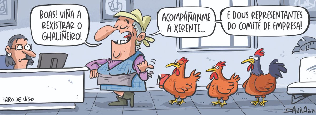 Rexistro de galiñeiros #humorgalego #davila #obichero #humor