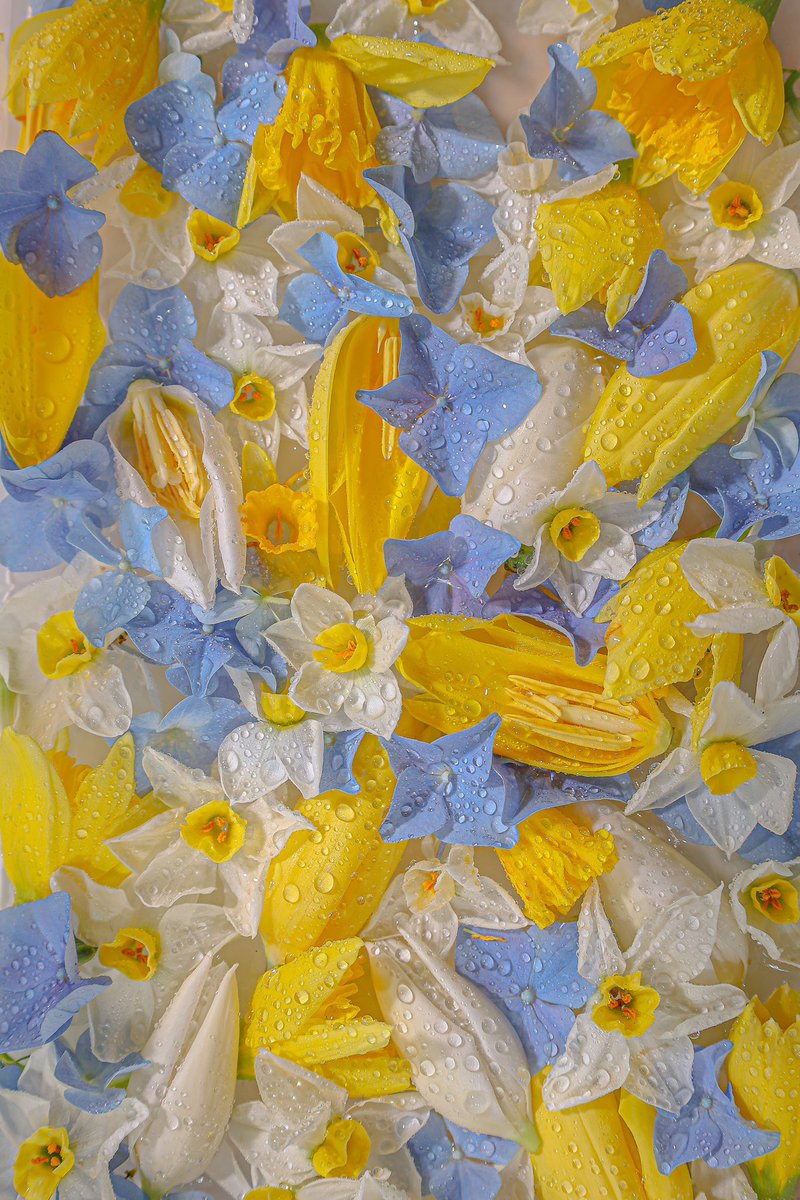 A breathtaking colour palette <a href="/Flowerblocks/">Flower Blocks</a>
