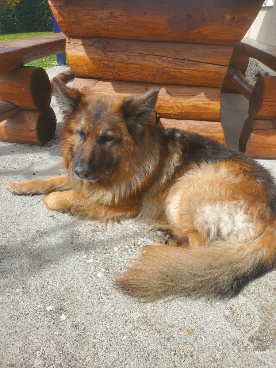 Captain Truel tweet media