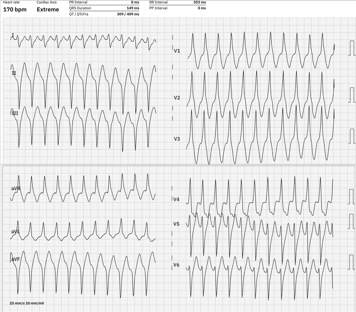 Dr. Andreas Roeschl tweet media