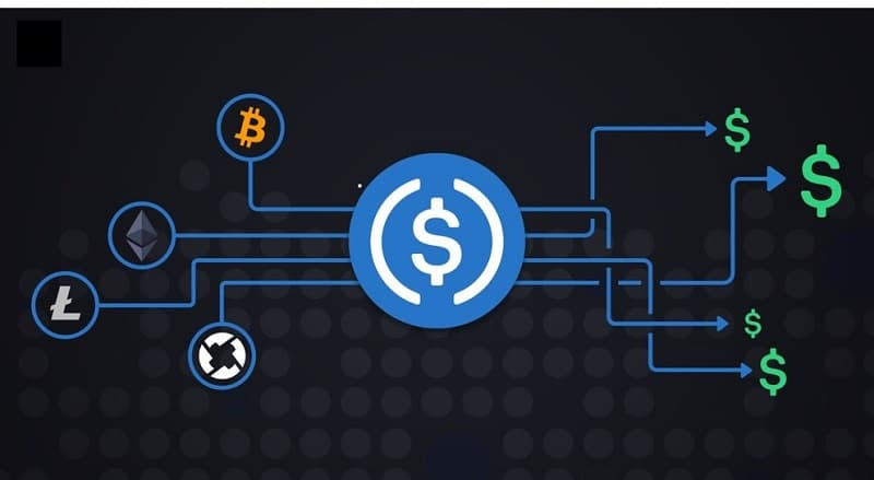 Felice Donoghue tweet media