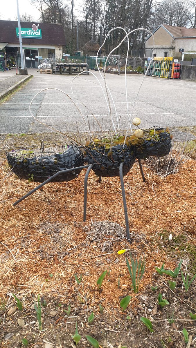 Balade de 7,5 km à #Fougerolles #hautesaone (70). On passe devant l'Écomusée, par le Petit Fahys et le Prédurupt. Boucle champêtre assez facile en 1h45 en suivant les ronds verts.
