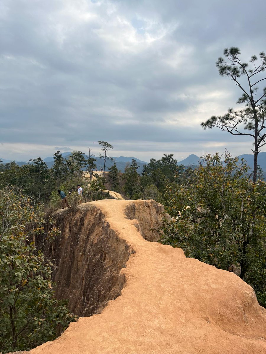 Robert Branche tweet media