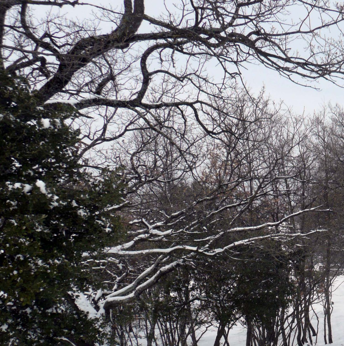 Robert Branche tweet media