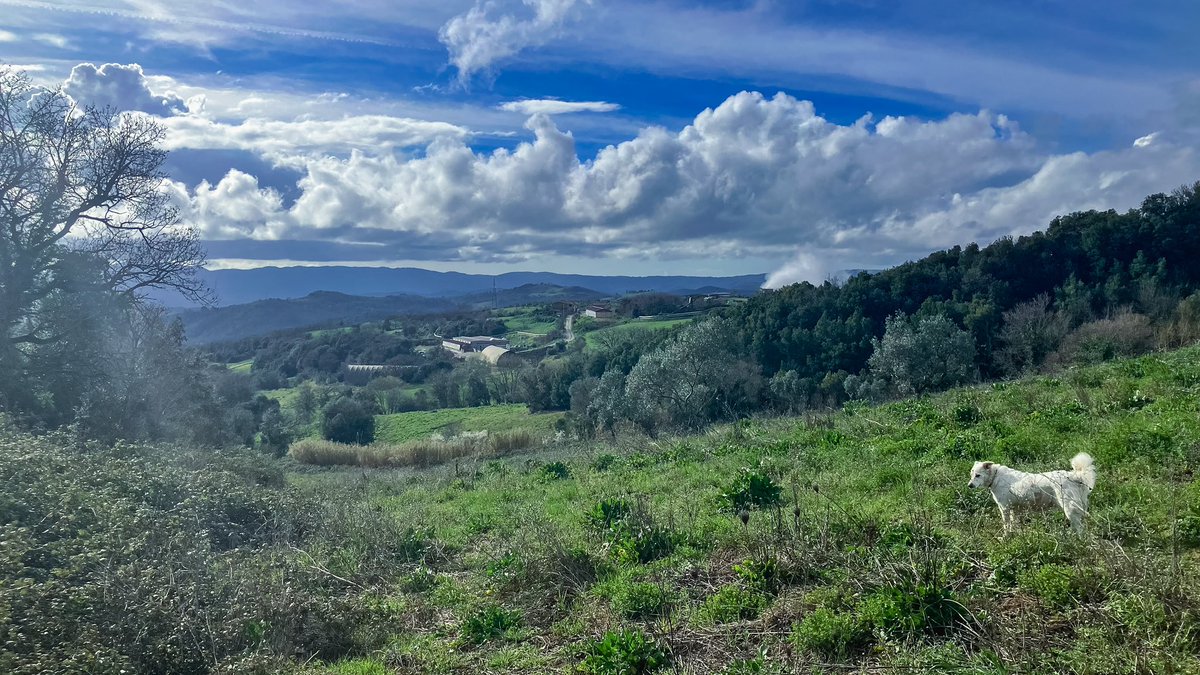 toblerlens's tweet photo. "Dive into the mesmerizing dance of clouds on a Sunday morning stroll through the vast expanse of nature. Each step is an adventure, each glance a new chapter in the sky's tale." #CloudBallet #SundayStroll #NatureAdventure #view #landscapephotography #photography #photograph https://t.co/tGWPW8ICY0