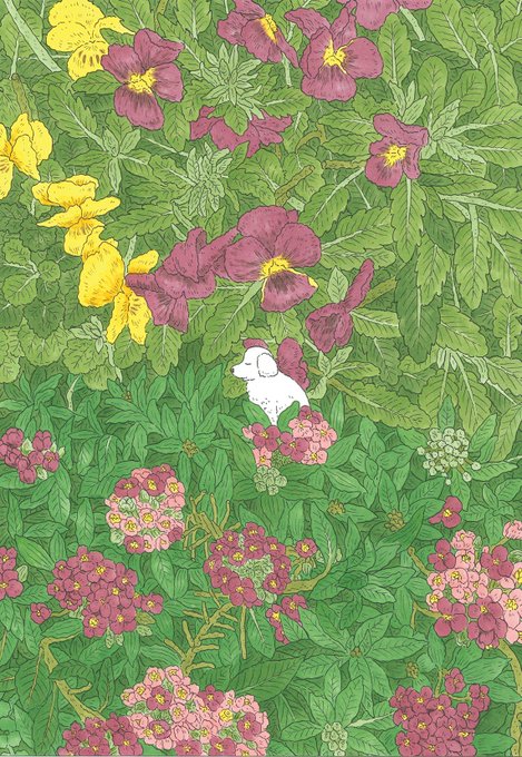 「植物 ホッキョクグマ」のTwitter画像/イラスト(新着)