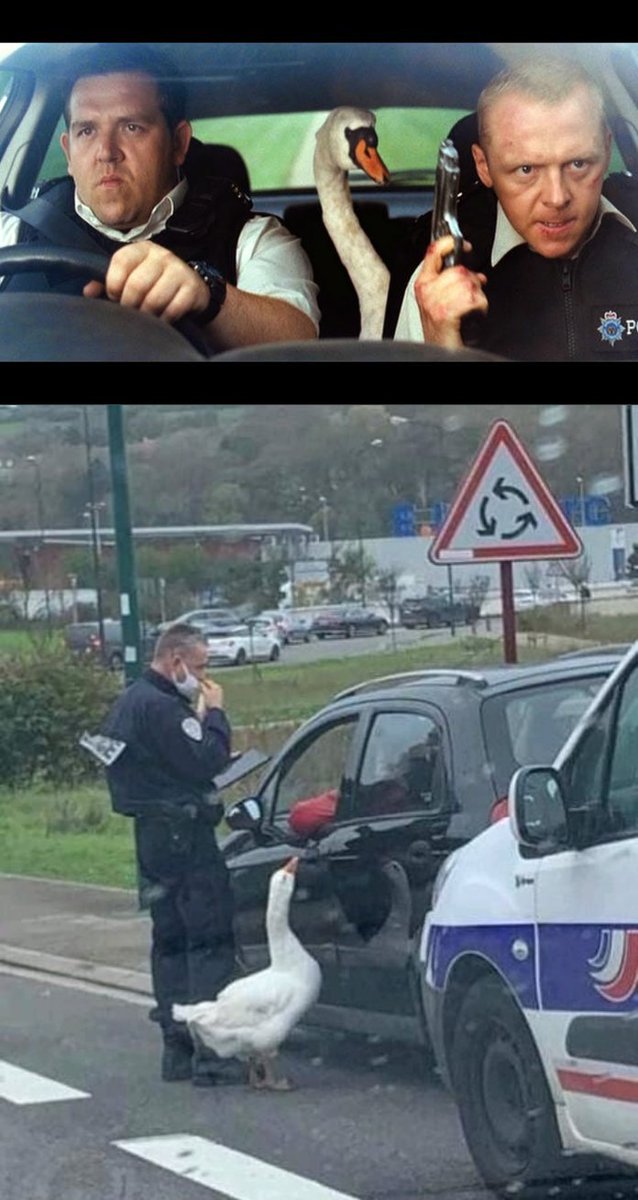 Honk_coin's tweet photo. license and registration please

$Honk $Honk https://t.co/2Aqrsk6WZT