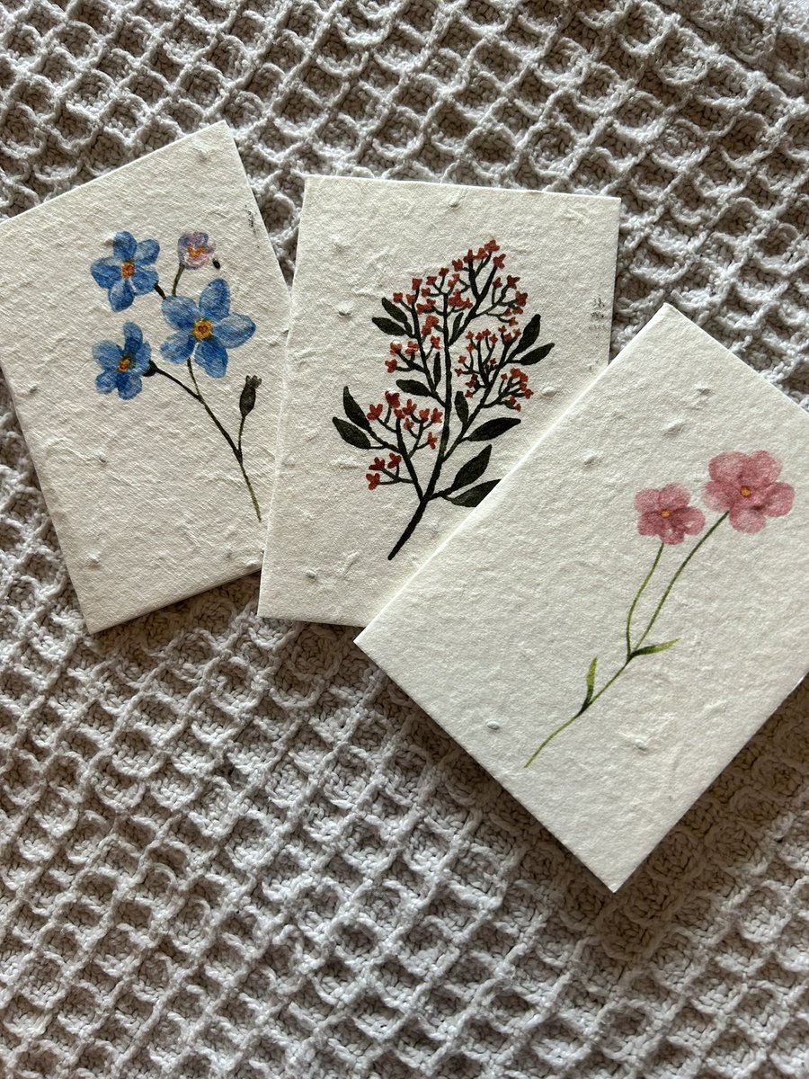 JessWilson1113's tweet photo. In @FCAFostering TV we know Mother’s Day can be complicated for some of our children, so this year we have given seeded cards where children can write messages and then plant them so they grow into beautiful flowers 🩶 https://t.co/nHsOdIdOzI
