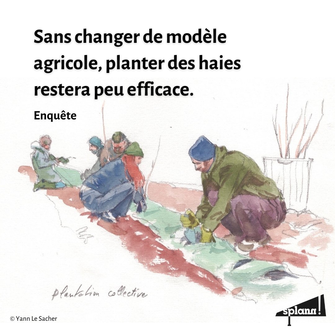 Splann ! Lanceur d'enquêtes tweet media