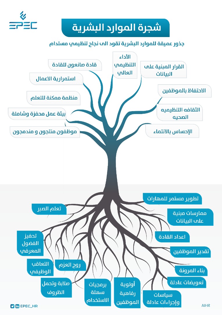 Epec_HR's tweet image. 🔹شجرة #الموارد_البشرية

لا يمكن تحقيق نتائج يمكن رؤيتها أو لمسها من الموظفين دون العمل على تأسيس قاعدة راسخة للإدارة يمكن من خلالها الاستمرار في التطوير وتحسين بيئات العمل وتحقيق نتائج تنظيمية مرضية.

⬅️ أهم الممارسات التأسيسية (القاعدة) والنتائج التي تتحقق من خلالها