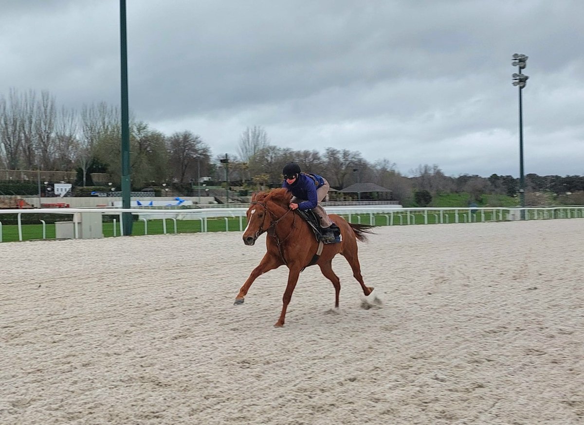 Carlos Miguel tweet media