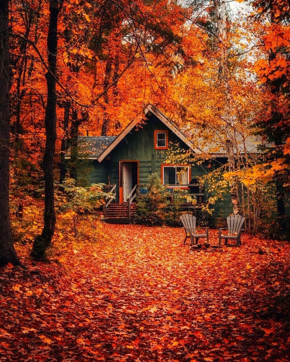 📍Huntsville,Ontario
Who’s ready for cozy fall days? ⛺️ 🍂 
🍁🍁🍁🍁🍁
➢ Credit 👉🏆📸  @jayeffex
.
.
.
#huntsville #ontario
#fall ⁣
#hiking ⁣
#october ⁣
#sunrise ⁣
#wandern ⁣
#mountain ⁣
#falldecor ⁣
#fallvibes ⁣
#traveller ⁣
#waterfall ⁣
#fallcolors ⁣
#landscapes ⁣