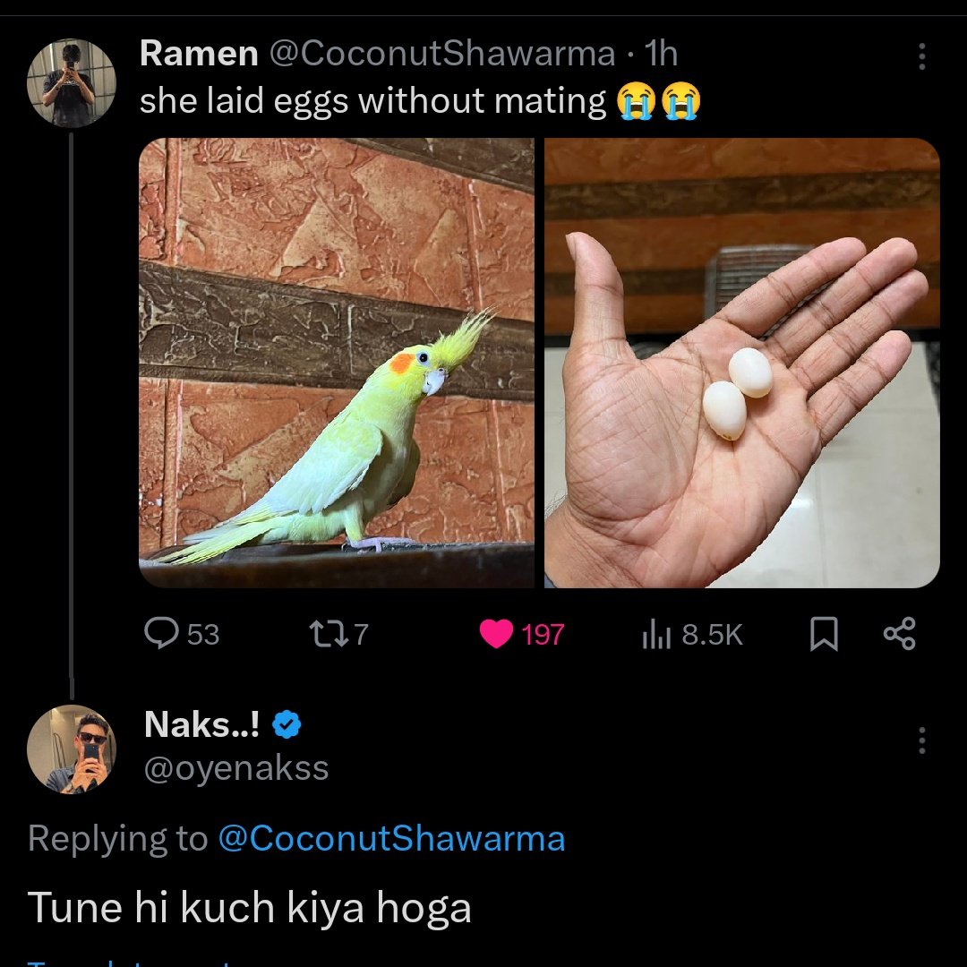 Never leaving this app😭😭