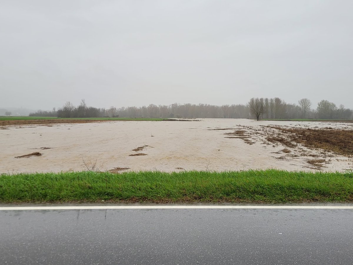 PCProvAL's tweet photo. 10 marzo 2024 ore 10:30
La situazione del Torrente Orba all'Iride di #Predosa
#AllertaMeteoPIE https://t.co/FjCi8S9XYq