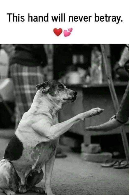 This hand will never betray 👋❤