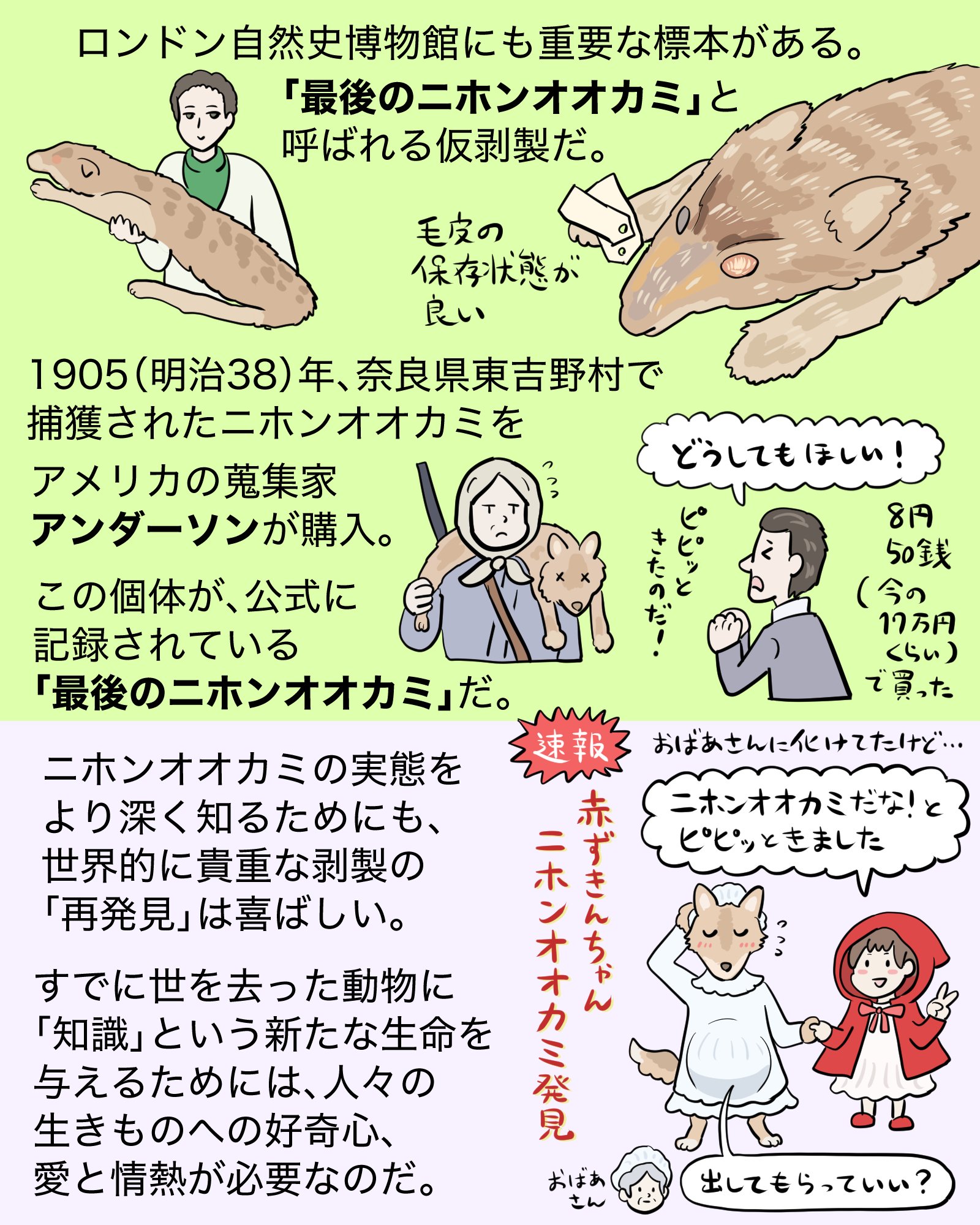 ぬまがさワタリ@『いきものニュース図解』など3/19発売 on X