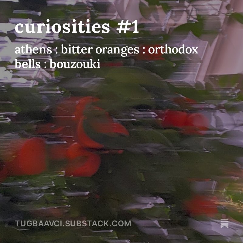 Welcome to the first edition of "curiosities." If you've ever wondered how European royalty entertained their guests or how many renowned European museum collections originated, then head to my latest post tugbaavci.substack.com/p/curiosities-1