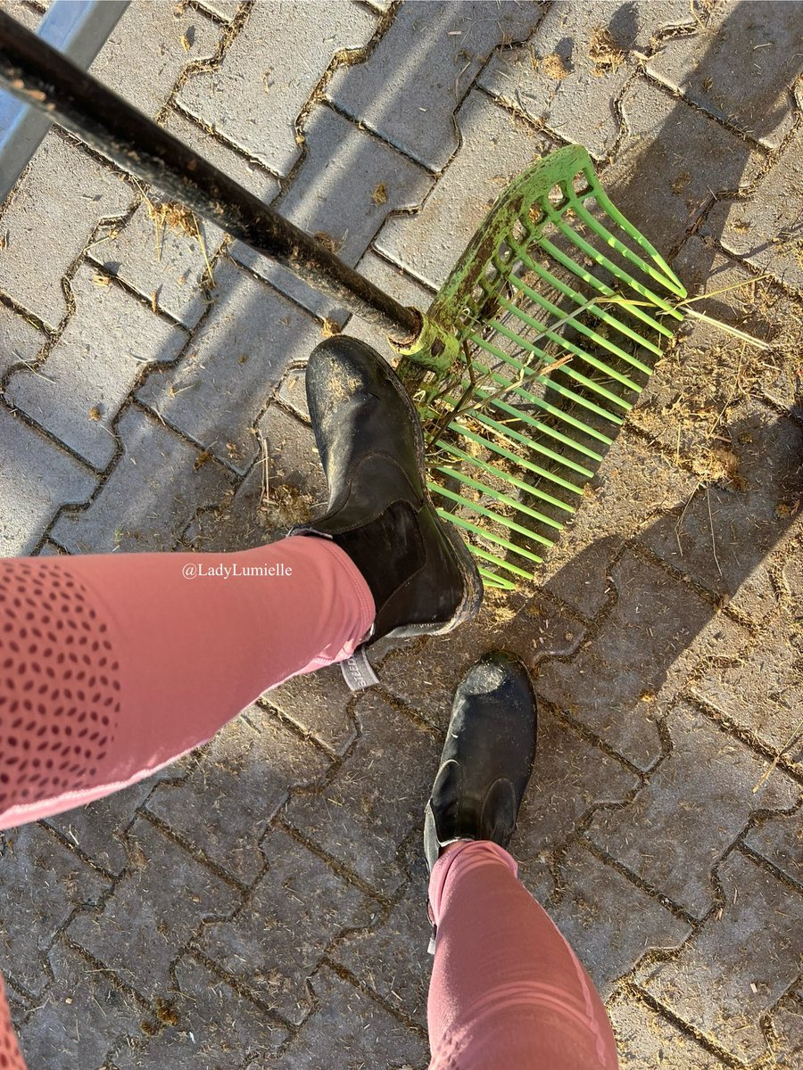 Guten Morgen,
ich beaufsichtige dich bei der Arbeit. Ich bin streng zu dir. Du magst das 😈Ich werfe dir immer mal wieder einen Pferdapfel in die Haare. Du liebst diese Demütigung.