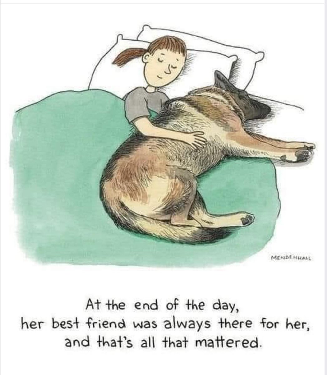 Happy Mothers Day to all the Mum's, whether your child has two legs or four ❤️ 

#HappyMothersDay #MotheringSunday #mothersday2024 #Dogs #GermanShepherd