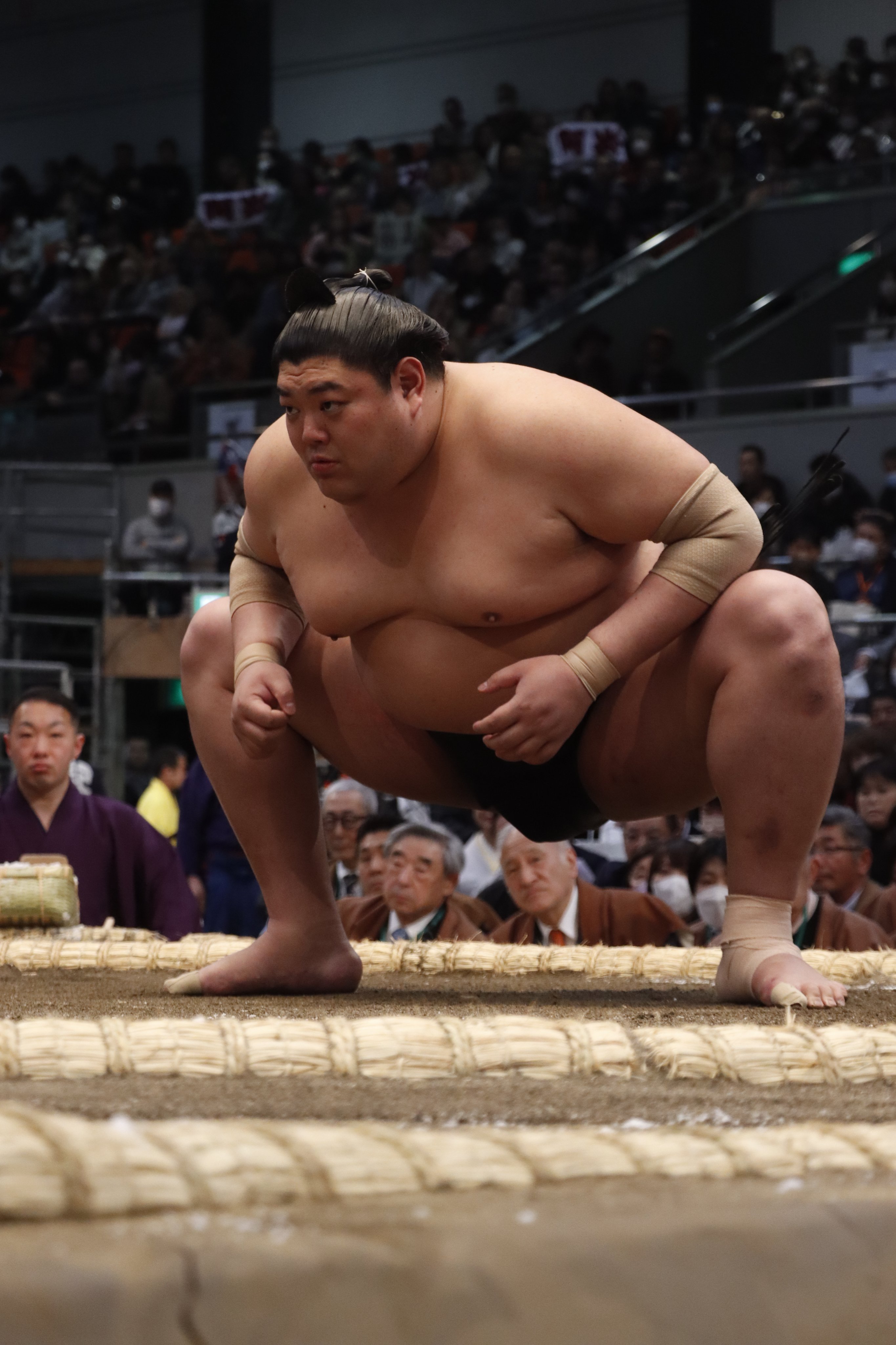 日本大相撲 笑❗️😂初切 しょっきり - 栃満 和歌桜 木村勝之介 【勧進