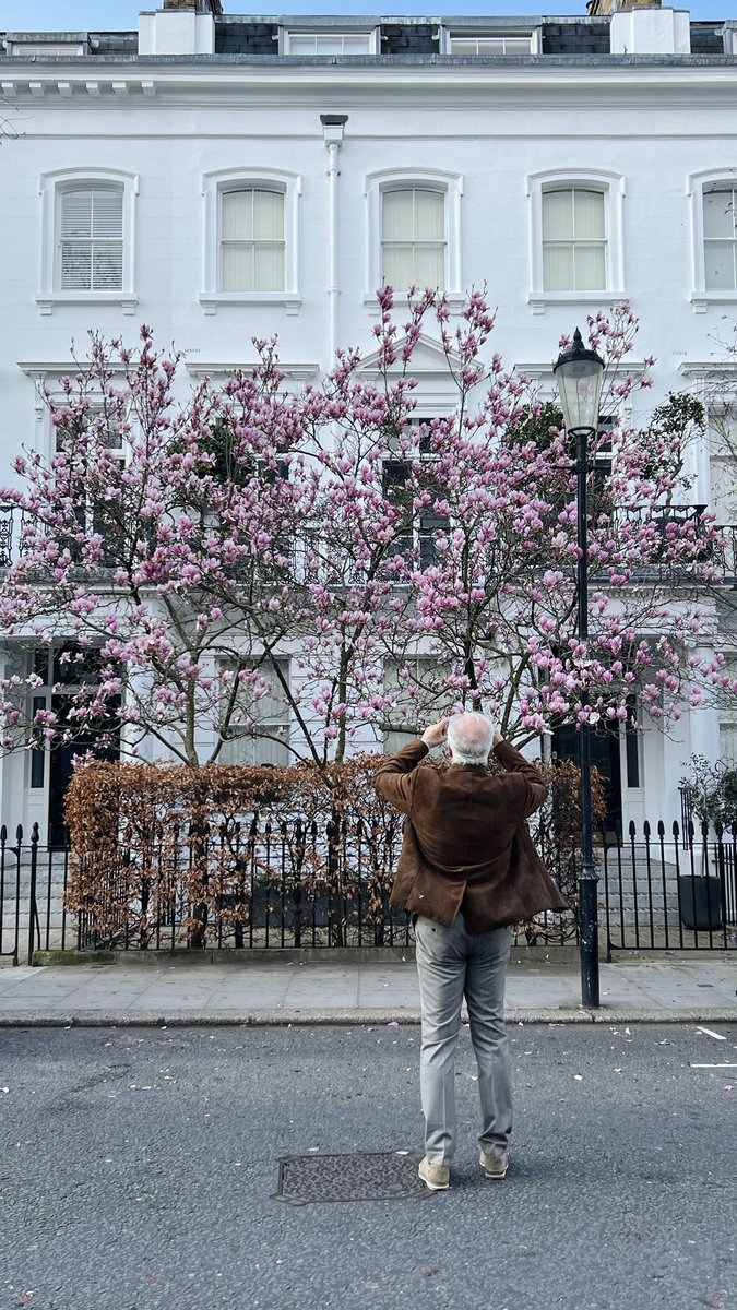 mossonyi's tweet photo. This man walked into my shot and made it lovely 🌸🌸🌸 https://t.co/lVlxl2Ef16