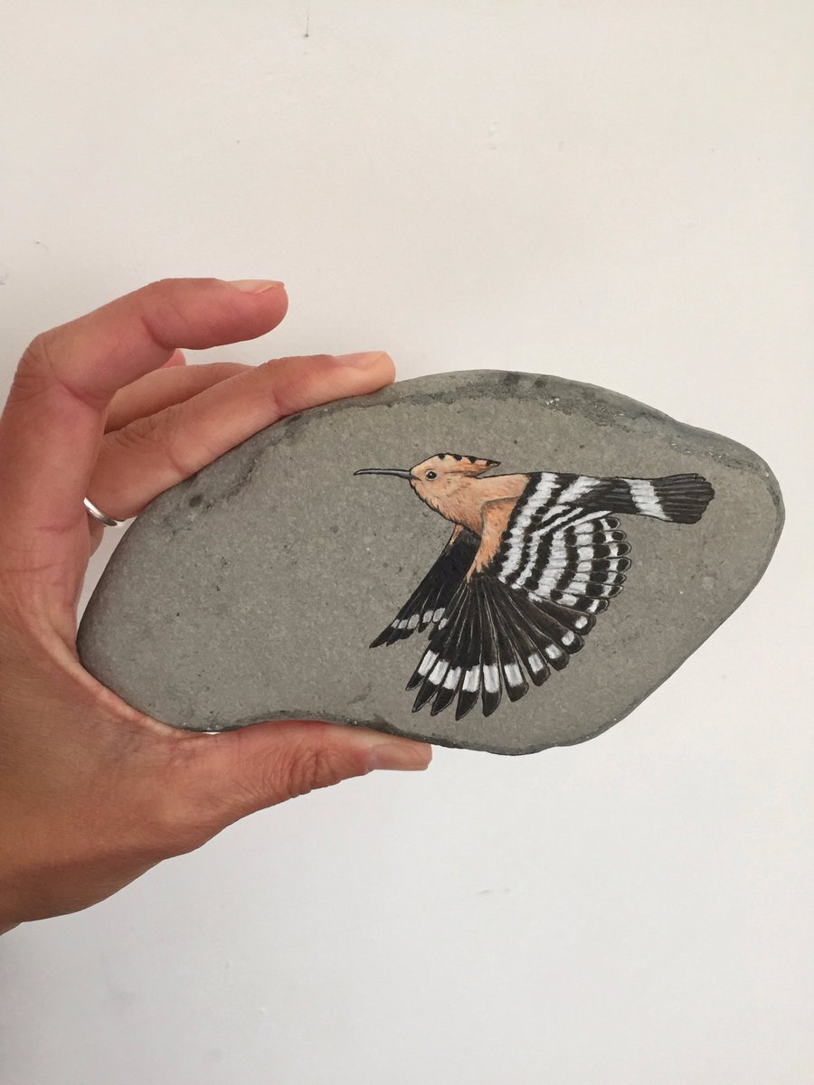 I’m working on some new painted stones. I hope you all like Hoopoes?